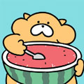GON的旱獭 GON的旱獭