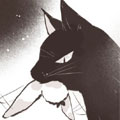 小雀的黑猫养父 小雀的黑猫养父